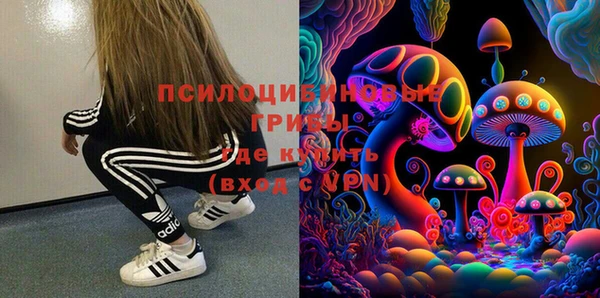 мдпв Кинешма