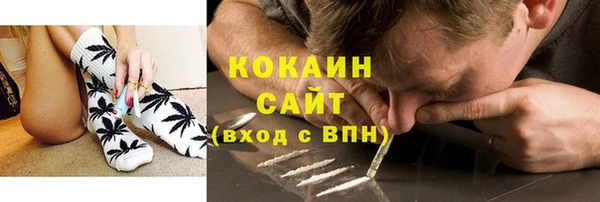 прущие крисы Киренск