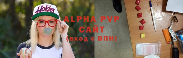 прущие крисы Киренск