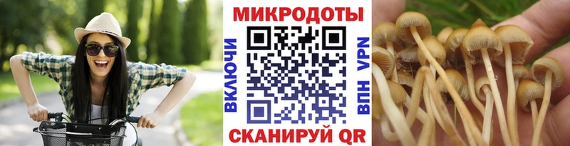 Псилоцибиновые грибы мицелий  Купить закладки  Чусовой 